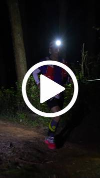 BIB:  <button type="button" onclick="openModal(27297355)" class="btn btn-primary btn-sm float-right" data-toggle="modal" data-target=".modal-high-quality">
                <i class="fa fa-download"></i> Download
                </button>